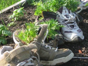 Sneakers in the garden