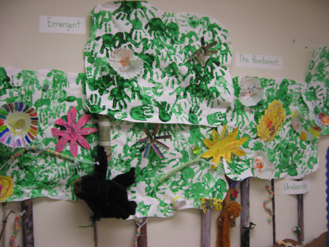 rainforest